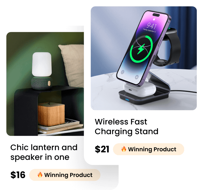 A ready-to-sell dropshipping store